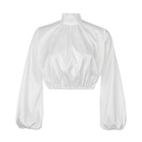 Luna Loose Lantern Sleeve Turtleneck Top