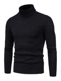 Luna Classic Men's Turtleneck Sweater