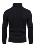 Luna Classic Men's Turtleneck Sweater