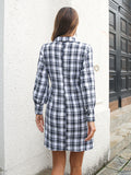 Luna Plaid Mini Dress