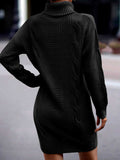Luna Captivating Turtleneck Sweater Dress