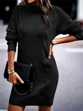 Luna Captivating Turtleneck Sweater Dress