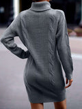Luna Captivating Turtleneck Sweater Dress