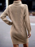 Luna Captivating Turtleneck Sweater Dress