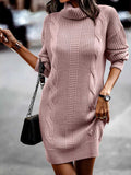 Luna Captivating Turtleneck Sweater Dress
