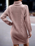 Luna Captivating Turtleneck Sweater Dress