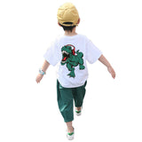 Luna Boys Dinosaur Top Pants Set Kids Wear