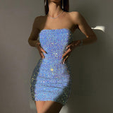Luna Sequin Tube Mini Dress
