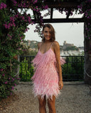 Luna Fringed Sequined Faux Feather Pink Dress