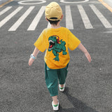 Luna Boys Dinosaur Top Pants Set Kids Wear