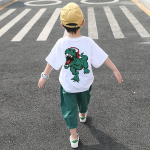 Luna Boys Dinosaur Top Pants Set Kids Wear