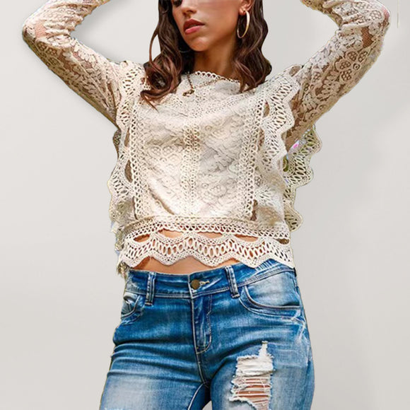 Sexy hollow lace long-sleeved fresh and sweet beauty top