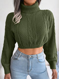 Luna Knitted Crop Sweater